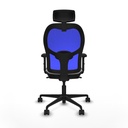 8447454341259_S5741924_P40