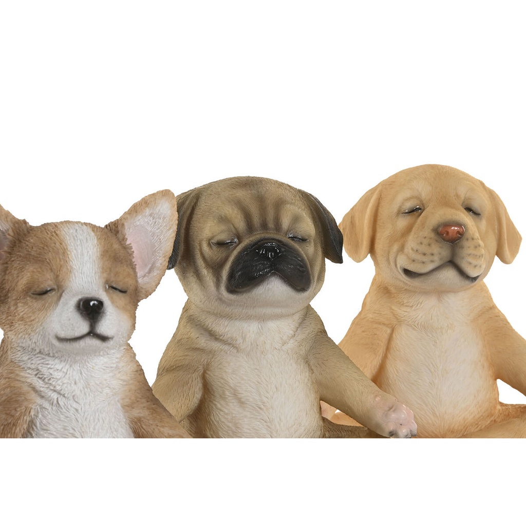 8424002210939_S3061611_P00