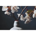 8424002118747_S3055687_P10