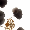 8430852061447_S3611284_P2_WBG0