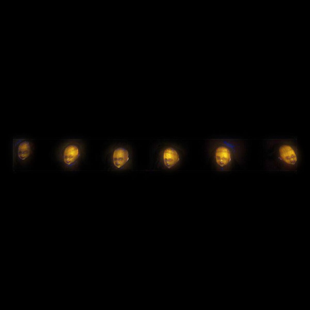 8422259618584_1_P11
