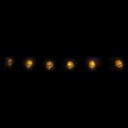 8422259618584_1_P11