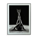 Cuadro Versa Siluetas Cristal Poliestireno (60 x 2 x 80 cm)