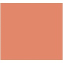 Card Iris Coral 50 x 65 cm