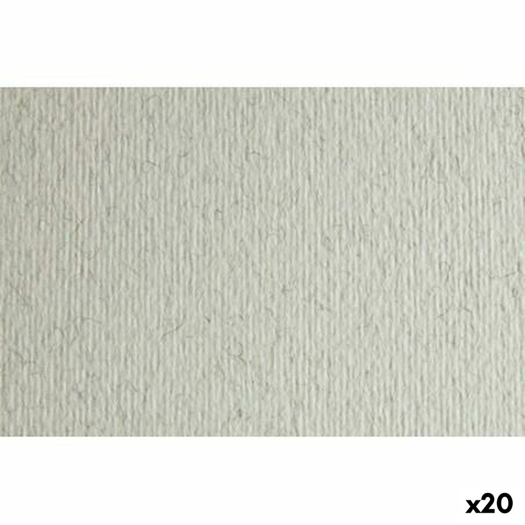 Card Sadipal LR 220 Light grey 50 x 70 cm Texturised (20 Units)