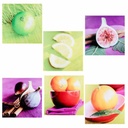 Canvas Alexandra House Living Canvas Wood 40 x 2 x 40 cm 6 Pieces