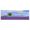 Lienzo Madera Lienzo 180 x 3 x 60 cm