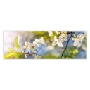 Canvas Wood Canvas 180 x 3 x 60 cm