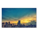 Monitor Videowall NEC UN552 LCD 55"