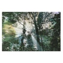 Cuadro Home ESPRIT Cristal Templado 150 x 0,4 x 100 cm