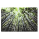 Cuadro Home ESPRIT Cristal Templado 150 x 0,4 x 100 cm