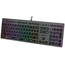 Teclado A4 Tech B120N Negro Gris Monocromo Multi QWERTY