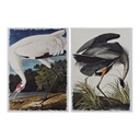 Lienzo DKD Home Decor Heron Pino Lienzo 50 x 1,8 x 70 cm