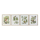 Cuadro DKD Home Decor Bird Cristal Abeto 55 x 2,5 x 70 cm (4 Piezas)