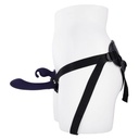 Consolador con arnés Evolved