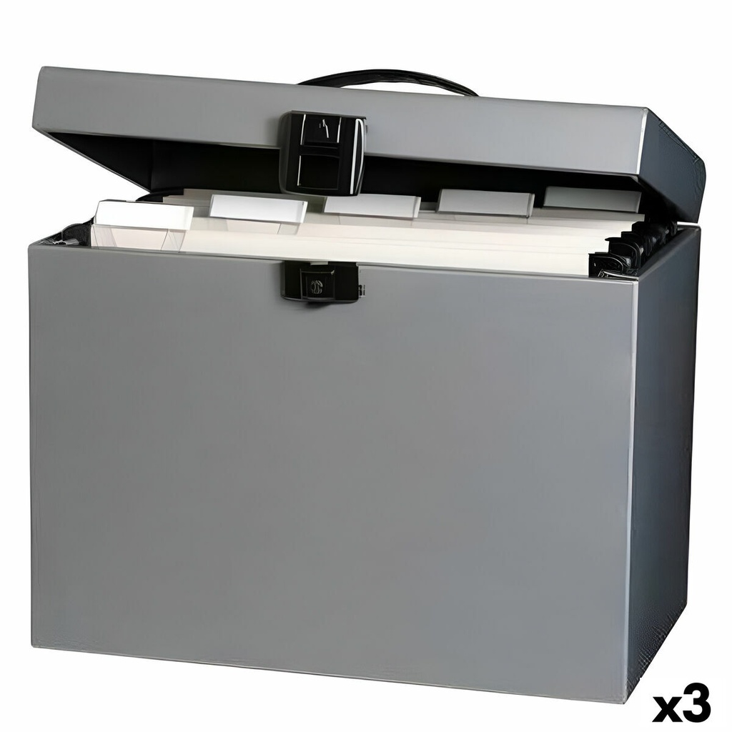 Caja de Archivo Oxford Class n Go Gris A4 29,5 x 37 x 22 cm (3 Unidades)