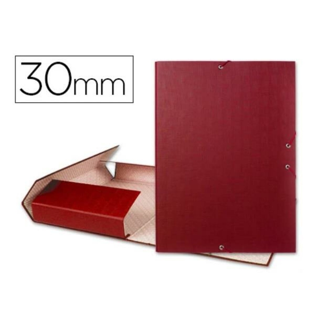 Carpeta Liderpapel PY34 A4 Rojo