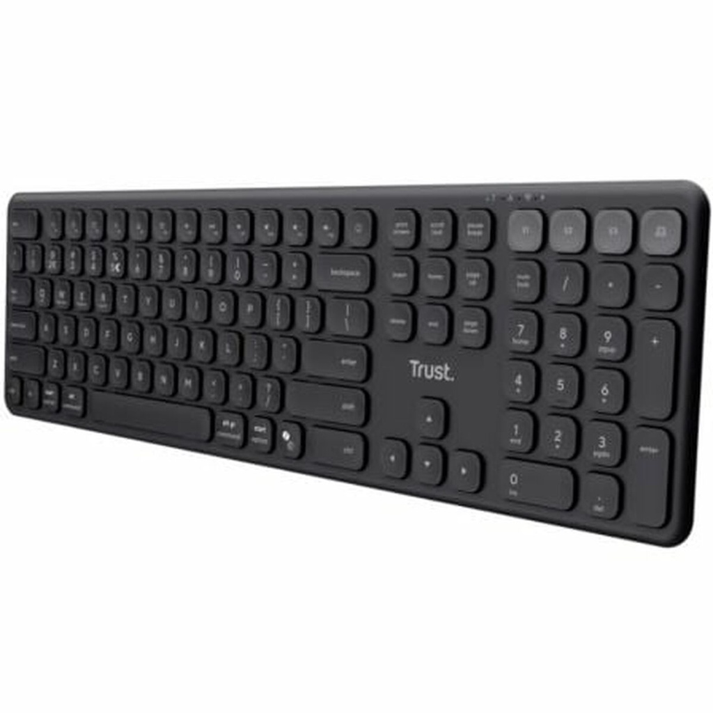 Teclado numérico Trust 25635 Negro