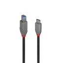 Cable USB-C a USB B LINDY 36665 50 cm Negro