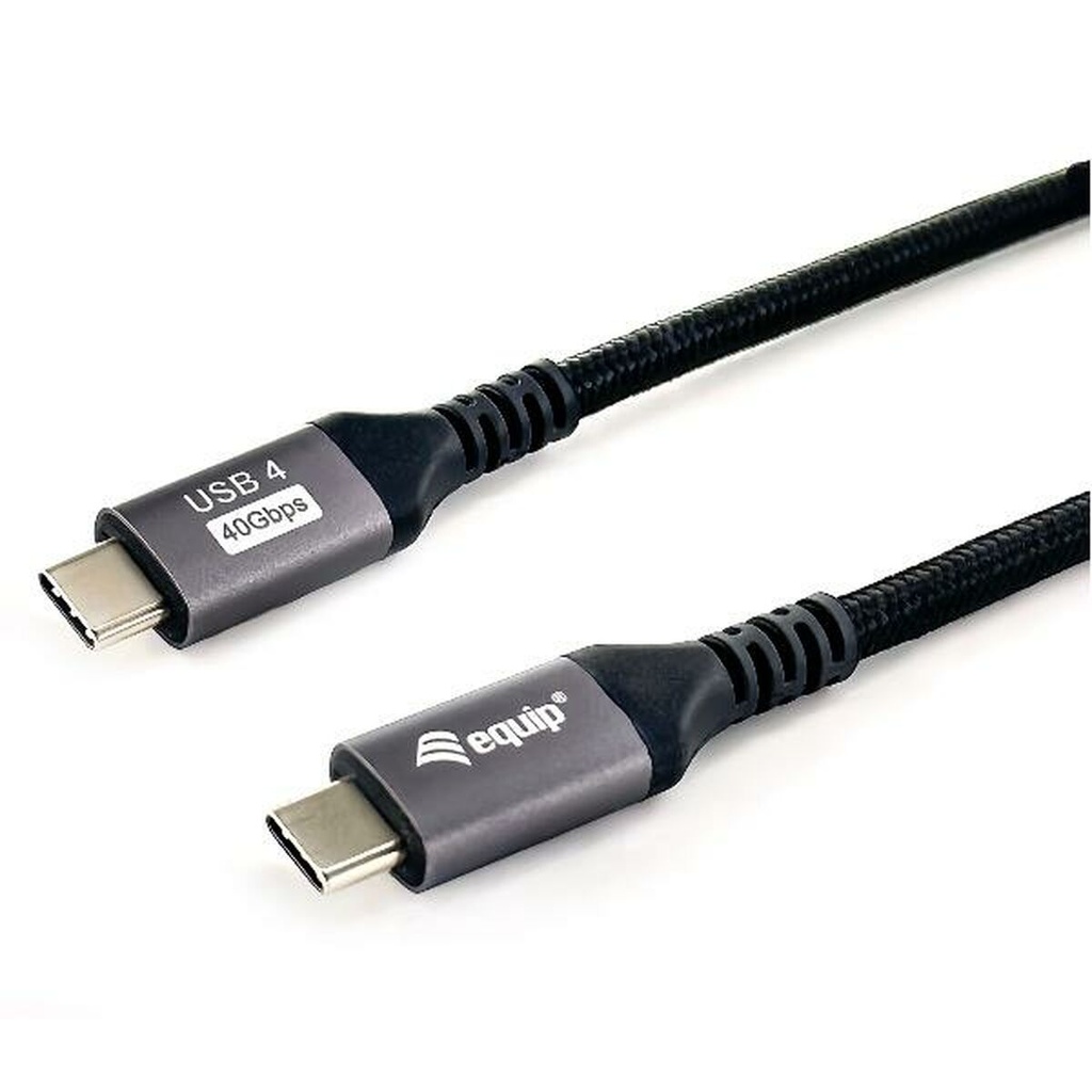 Cable USB-C a USB-C Equip 128383 2 m Negro