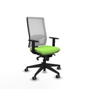 Office Chair Piqueras y Crespo 1D066G0 Pistachio