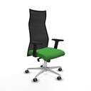 Office Chair Piqueras y Crespo B2D086G Green
