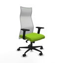 Silla de Oficina Piqueras y Crespo B2D036N Pistacho