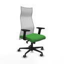 Office Chair Piqueras y Crespo B2D036G Green