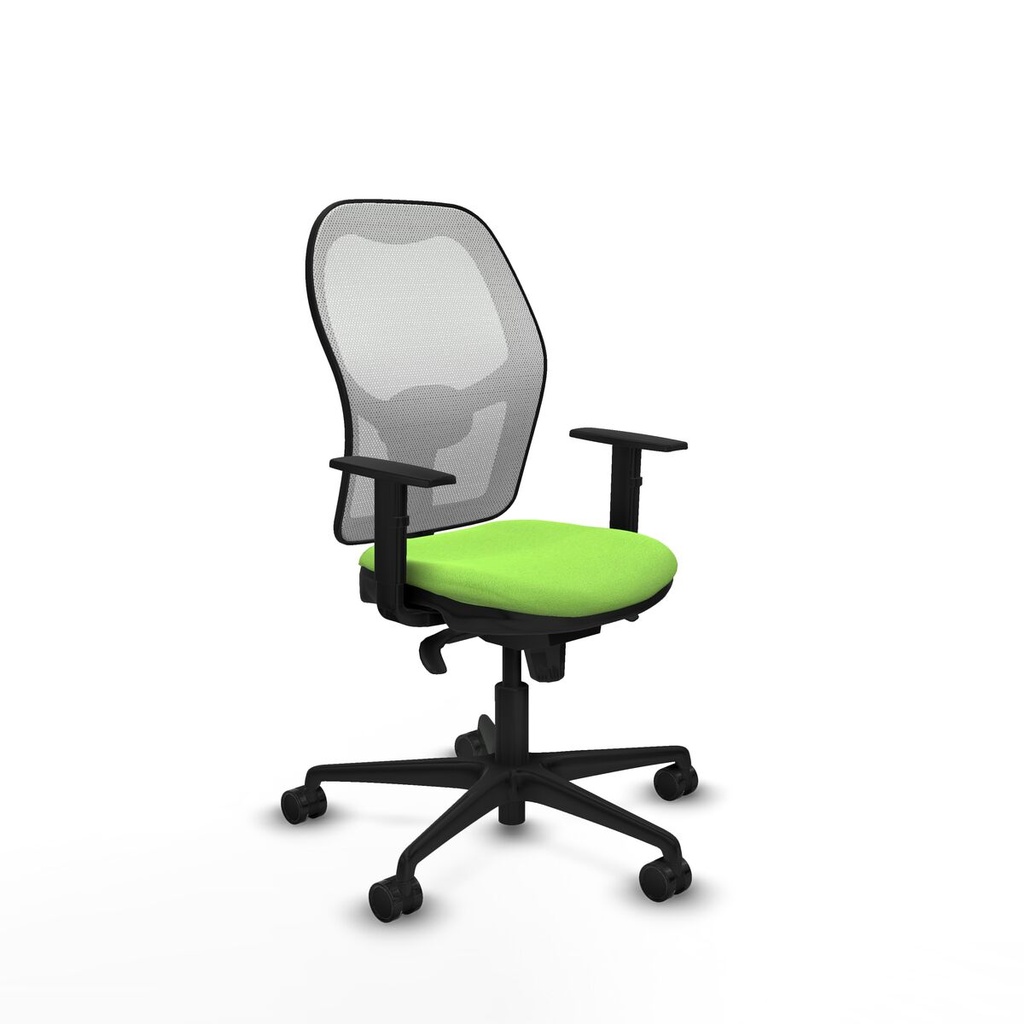 Office Chair Piqueras y Crespo 1D036N0 Pistachio