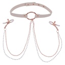 Nipple Clamps Sportsheets