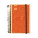 Diary Finocam