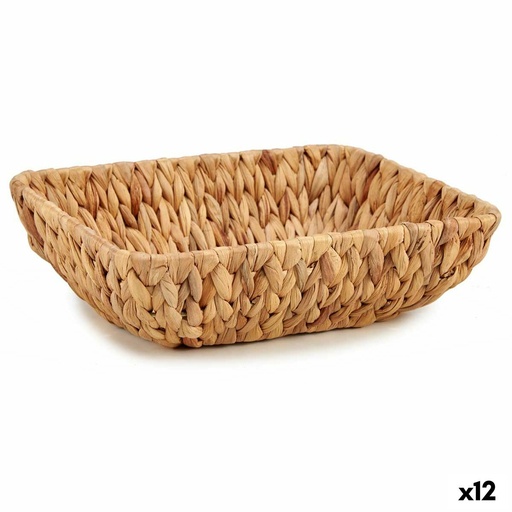 Centro de Mesa Gift Decor SF18037 Marrón Metal Jacinto de agua 30 x 9 x 22 cm (12 Unidades)