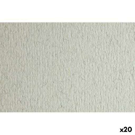 Cartulina Sadipal LR 220 Gris claro 50 x 70 cm Texturizada (20 Unidades)