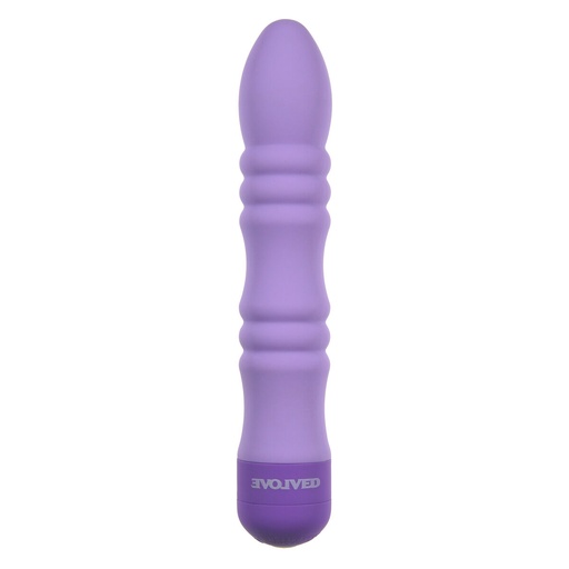 Bullet Vibrator Evolved Purple