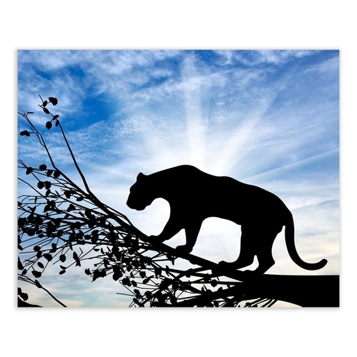 Lienzo Madera Lienzo 100 x 3 x 80 cm