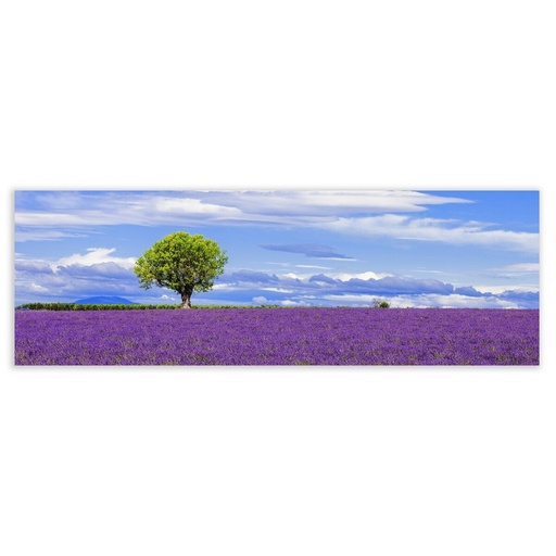 Lienzo Madera Lienzo 180 x 3 x 60 cm