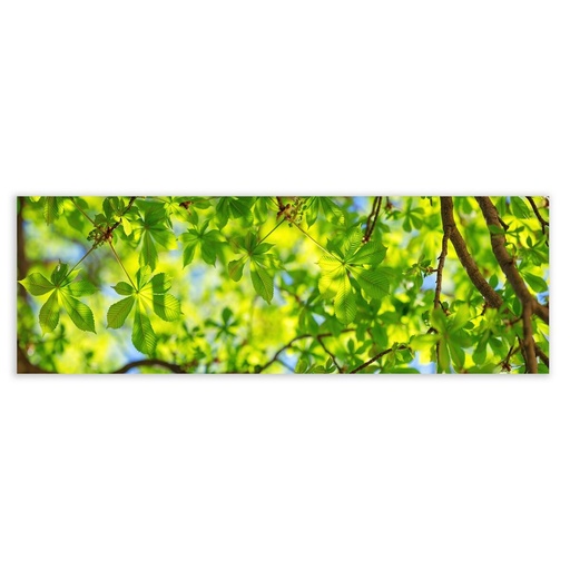 Lienzo Madera Lienzo 180 x 3 x 60 cm