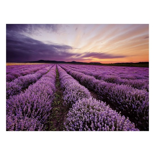 Lienzo Madera Lienzo 80 x 3 x 60 cm