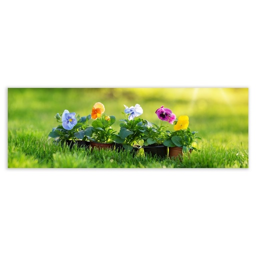 Canvas Wood Canvas 150 x 3 x 50 cm