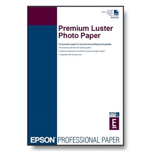 Ink and Photogrpahic Paper pack Epson C13S041784 A4 (1 Unit)