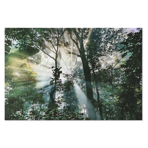 Painting Home ESPRIT Tempered Glass 150 x 0,4 x 100 cm