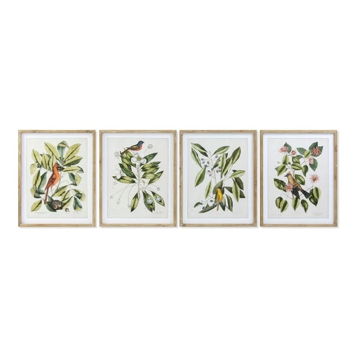 Cuadro DKD Home Decor Bird Cristal Abeto 55 x 2,5 x 70 cm (4 Piezas)