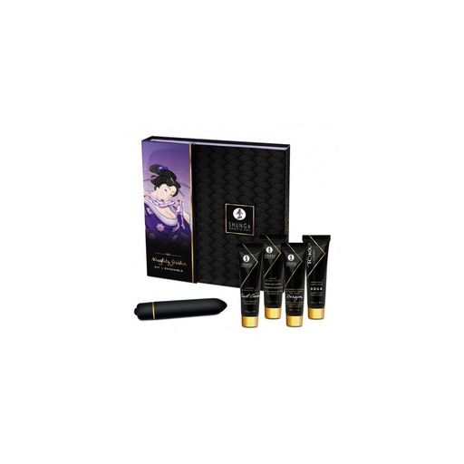 Pleasure Kit Shunga SECRET GEISHA COQUINE