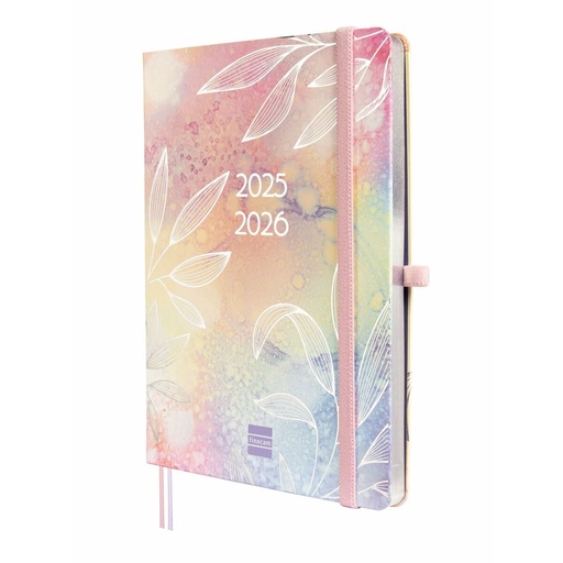 Diary Finocam