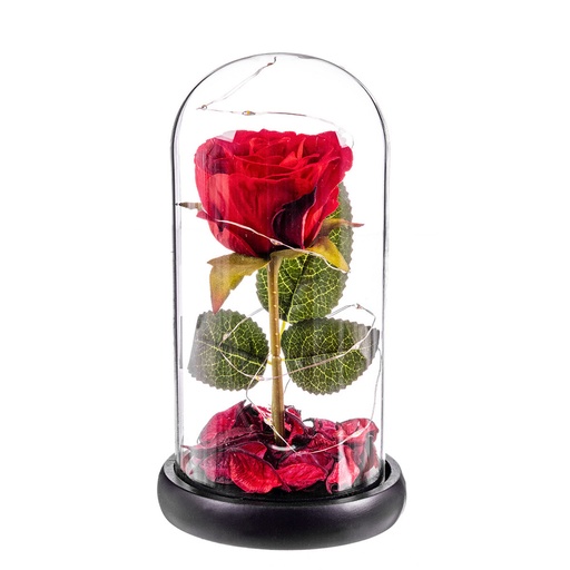 Decorative Figure Caison Rosa roja eterna leds cupula cristal 20 cm