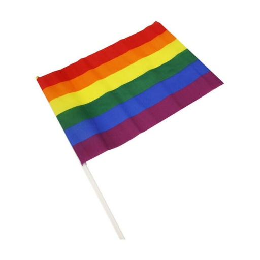 Flag Divertysex 30 x 20 cm Multicolour 12 Pieces