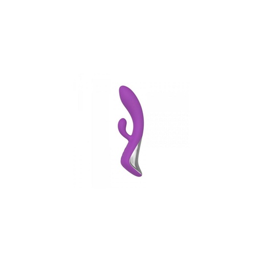 G-Spot Vibrator Toyz4lovers Purple
