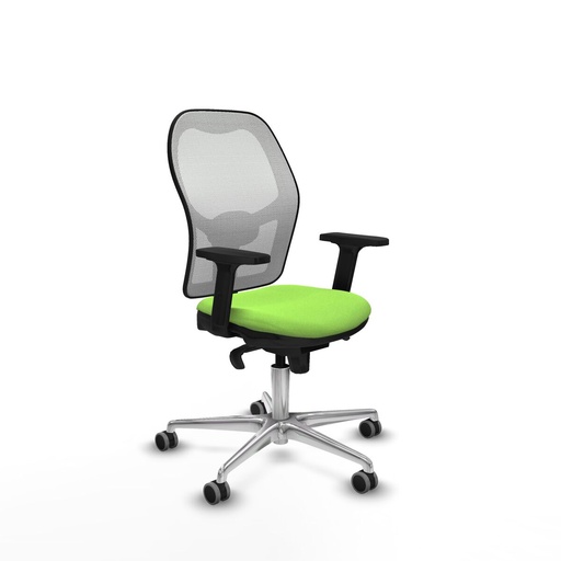Office Chair Piqueras y Crespo 2D086G0 Pistachio
