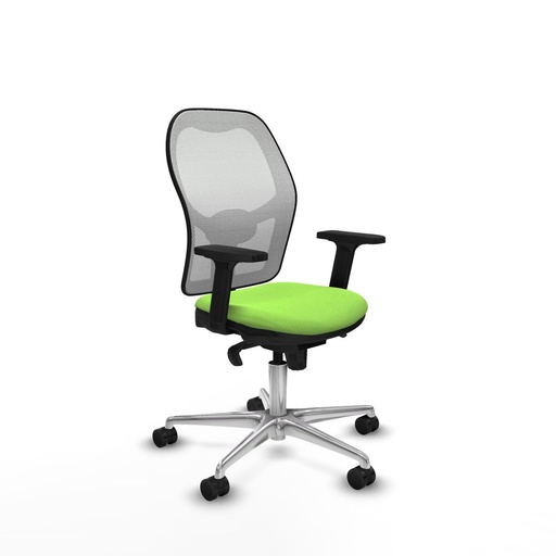 Office Chair Piqueras y Crespo 2D086N0 Pistachio