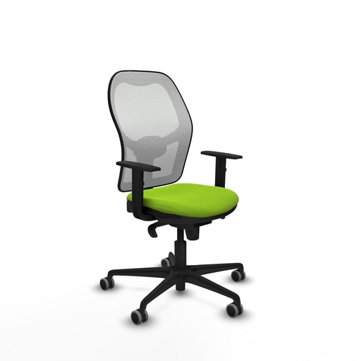 Office Chair Piqueras y Crespo 1D036G0 Pistachio